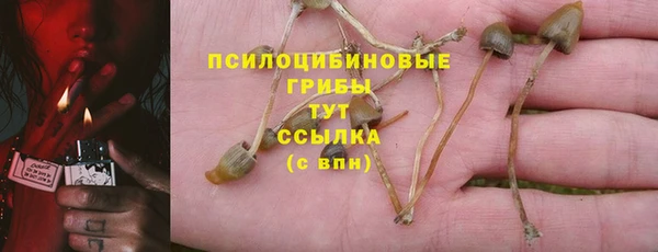 винт Наволоки