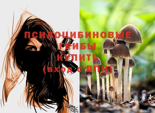a pvp Надым